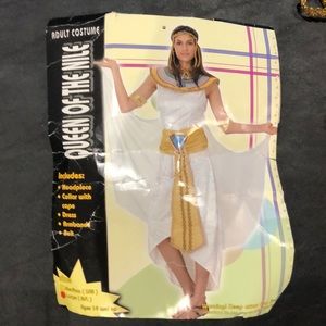 QUEEN OF THE NILE EGYPTIAN PRINCESS MEDIUM LARGE ADULT HALLOWEEN COSTUME